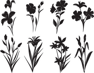 Set Flowers. Hand drawn vector illustration	