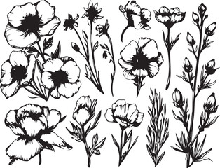 Set Flowers. Hand drawn vector illustration	