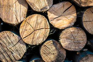 Naklejka premium stack of chopped fire wood