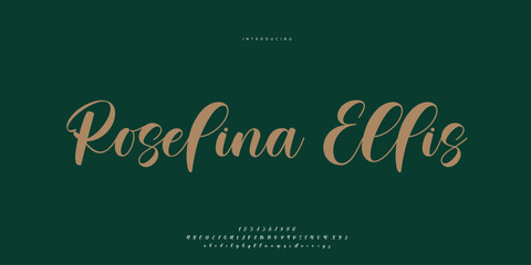 signature Font Calligraphy Logotype Script Brush Font Type Font lettering handwritten	