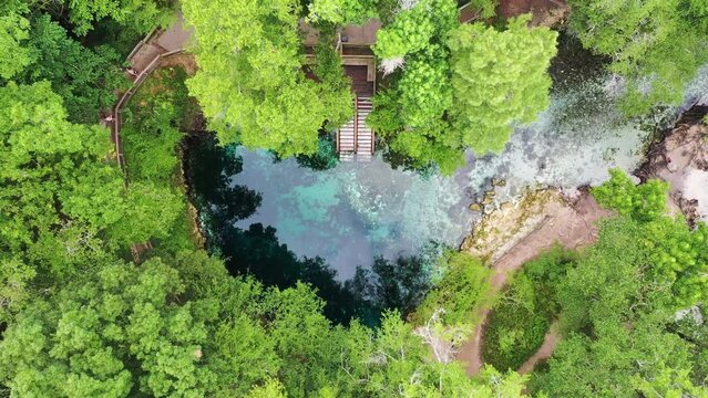 Aerial view of Madison Blue Spring, Lee, Florida, United States.