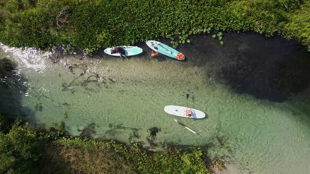Aerial view of King's Landing with clear blue river and lush green forest, Apopka, Florida, United States.