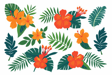 Tropical flowers, palm leaves, jungle leaf, bird of paradise flower, hibiscus. Vector exotic illustrations, floral elements isolated, Hawaiian bouquet for greeting card, wedding, wallpaper © The Illustraitor