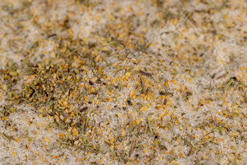 white salt with spices and seasonings, close up