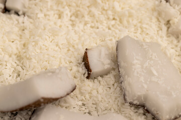 white coconut pulp and dried coconut flakes
