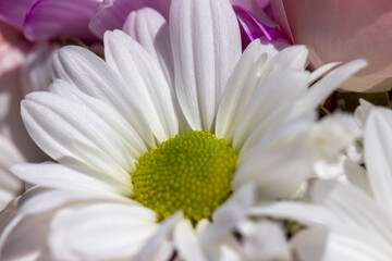 a beautiful bouquet combined with different flowers