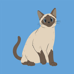 Obraz premium Siamese cat with blue eyes. Isolated flat vector illustration. Cartoon design.