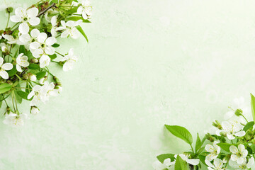 Spring Easter background. Passover blooming white apple or cherry blossom on green background. Happy Passover background. World environment day. Easter, Birthday, womens day holiday. Top view Mock up.