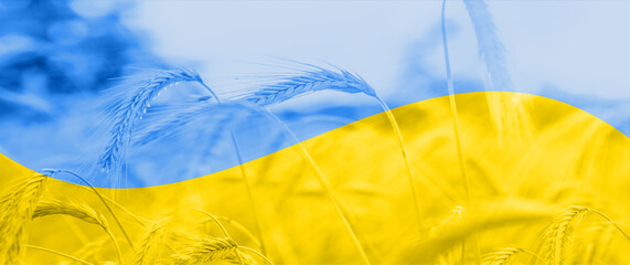 A wheat field is painted with the colors of the Ukrainian flag.