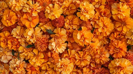 orange marigold pattern background for Dia de los muertos.