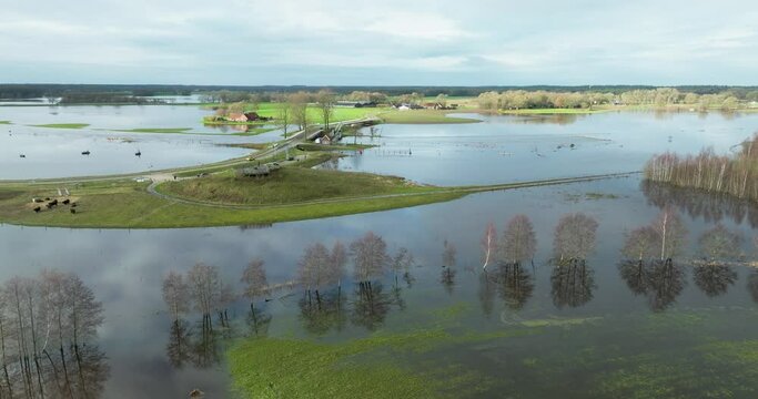 Aerial view of trees in high water of river Vecht with reflection of the sky, Distelbelt, Diffelen, Vechtdal, Overijssel, Netherlands.