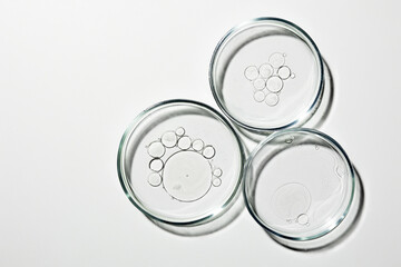Petri dish with liquid, oil, gel, water, molecules, viruses. On a white background.