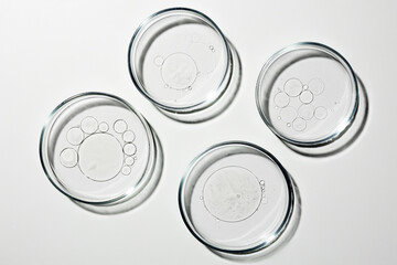 Petri dish with liquid, oil, gel, water, molecules, viruses. On a white background.