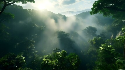 Aerial View of Misty Jungle Rainforest