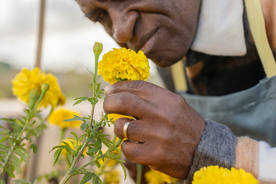 senior farmer man smelling flowers
