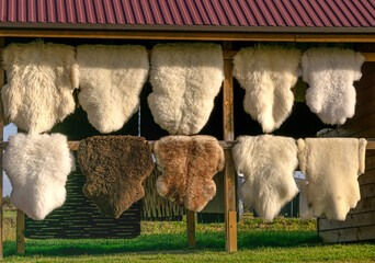 Tanned sheep skins are sold at the market. - 741471776