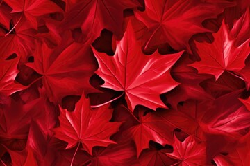 A pile of red maple leaves. Suitable for autumn-themed designs