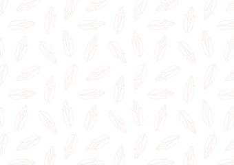 White corn pattern background. Fresh white corn isolated on white background.