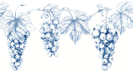 Hand drawn vector illustration of grapes. - obrazy, fototapety, plakaty