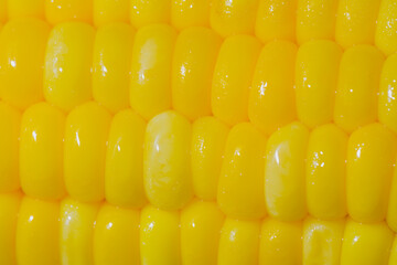 Yellow boiled corn dipped in salt water