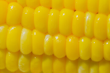 Yellow boiled corn dipped in salt water