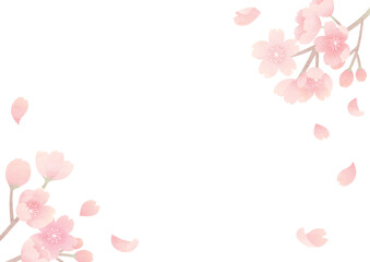 Fototapeta na wymiar 水彩風の桜のフレーム