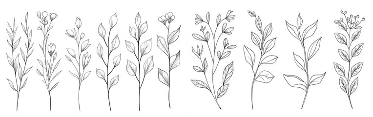 A collection of line sketches forming images of flowers and leaves on a white background