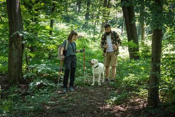 Fototapeta premium City escape. Young man and woman with their pet dog walking in the nature. Nature lovers couple hiking in the woodland with tall green trees and exploring park. Weekend activities simple living