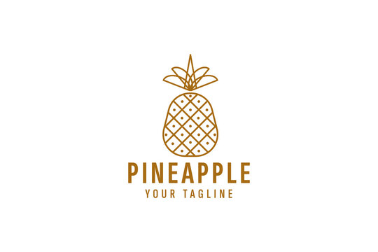 pineapple logo vector icon illustration