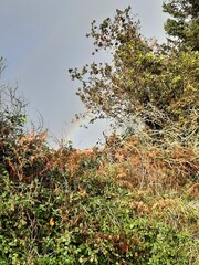 Arc en ciel en Bretagne