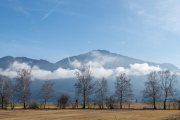 Bäume, Berge und Wolken am Kochelsee in Oberbayern