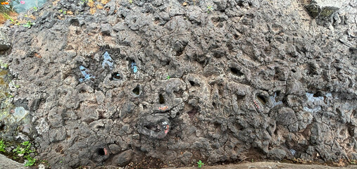 Krishna foot prints 