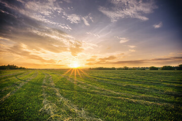Sunset at cultivated land in the countryside on a spring evening with cloudy sky background....