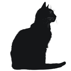 Black silhouette of cat. Vector illustration. iso
