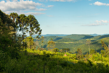 Obraz premium A view of the countryside in the Carapina Valley - Sao Francisco de Paula, Serra Gaucha (South of Brazil)