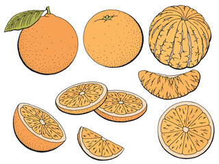 Orange fruit graphic color isolated sketch illustration vector 