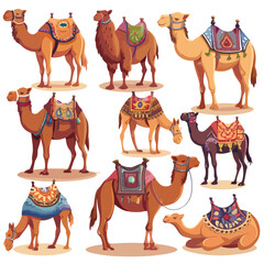 Camels. Wild and domesticated desert caravan anim