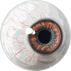 Eye isolated on transparent background. PNG