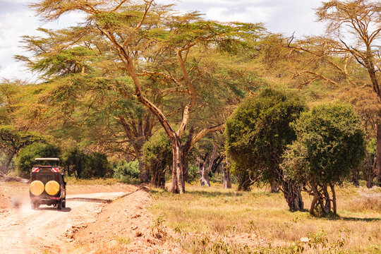 A safari vehicle on a dirt road at Lake Nakuru National Park in Kenya