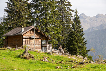 An isolated Swiss Chalet in the middle of the Alps surronded by mountains and trees.