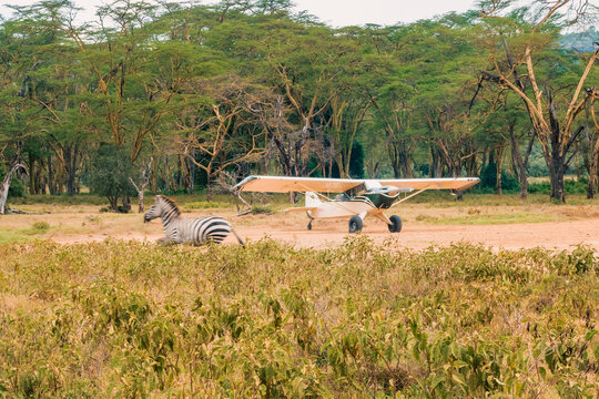 A small aeroplane on a runway in the wild at Lake Nakuru National Park in Kenya