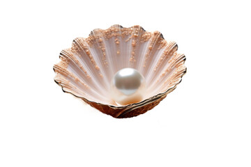 Delicate Seashell with Captured Pearl Isolated on Transparent Background
