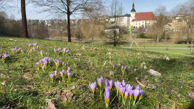 spring in the park, reichenbach im Vogtland, saxony germany