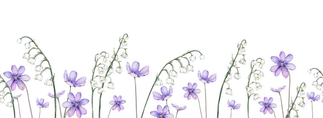 Border watercolor spring flowers. Coppice, hepatica - first spring flowers. Spring lily of the valley Illustration of delicate lilac flowers. Hand drawn texture with white and violet flowers. Isolated