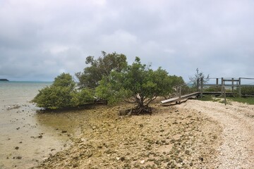 Duck Island, New Caledonia