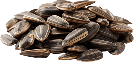 Sunflower seeds isolated on transparent background. PNG