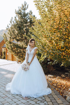 Wedding photo. A brunette bride in a lacy voluminous dress, holding a bouquet and walking in the garden, smiling sincerely. Gorgeous hair and makeup. Fashion and style. Celebration.