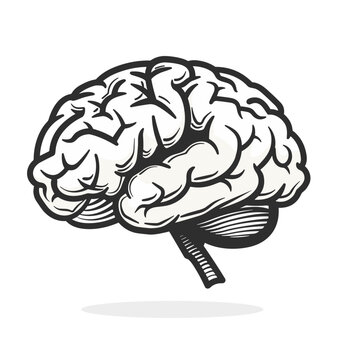Human brain icon. Vector illustration isolated on white background. Design element.