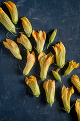Composition of  zucchini flower on blue background.