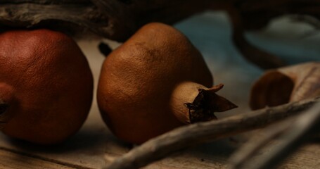 Still Life with Pomegranates and Driftwood. Close-Up tracking shot, DOF.
